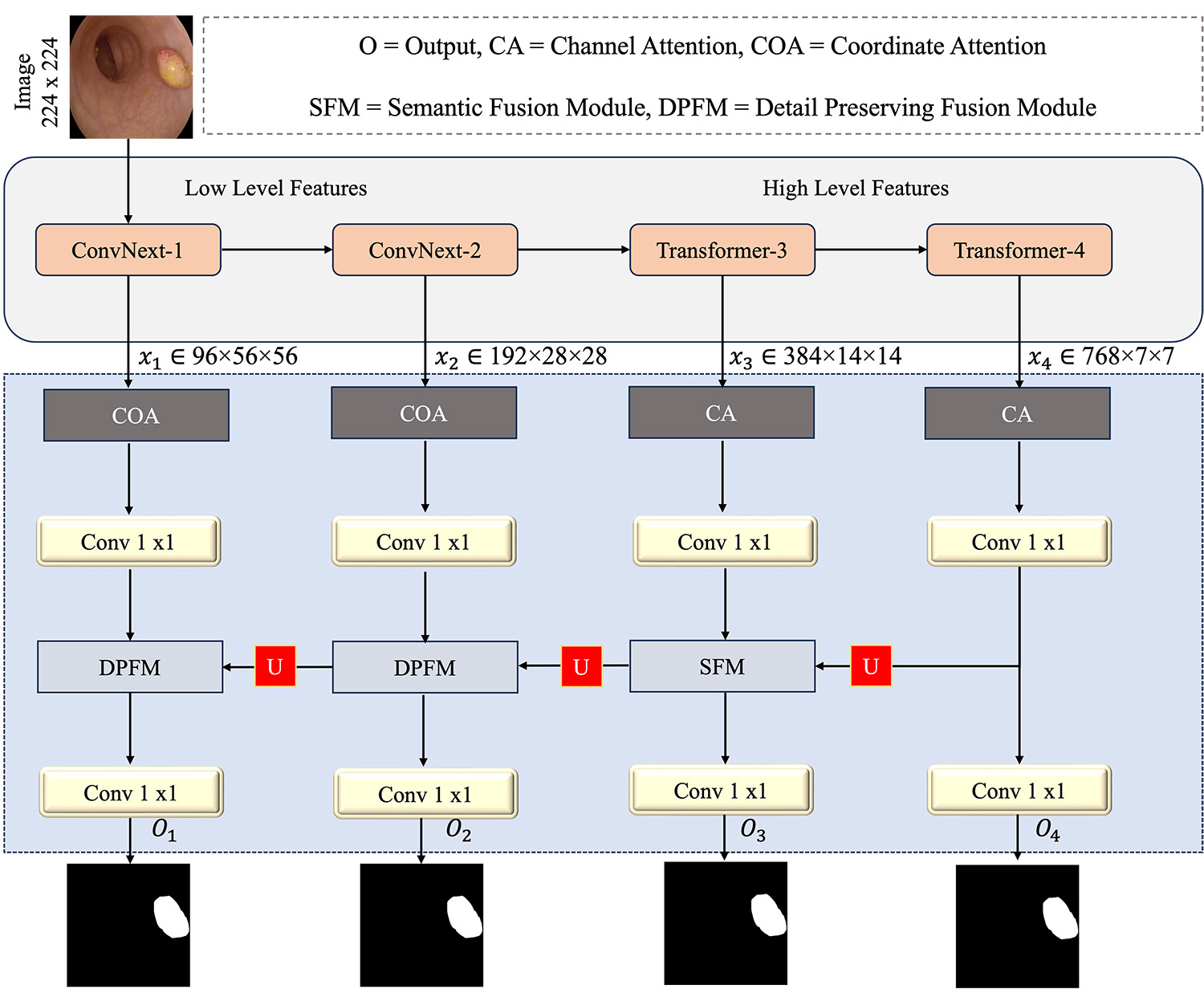 Scale-Specific Visual Sensing for Colonoscopy Polyp Segmentation via Hybrid CNN-Transformer Attention