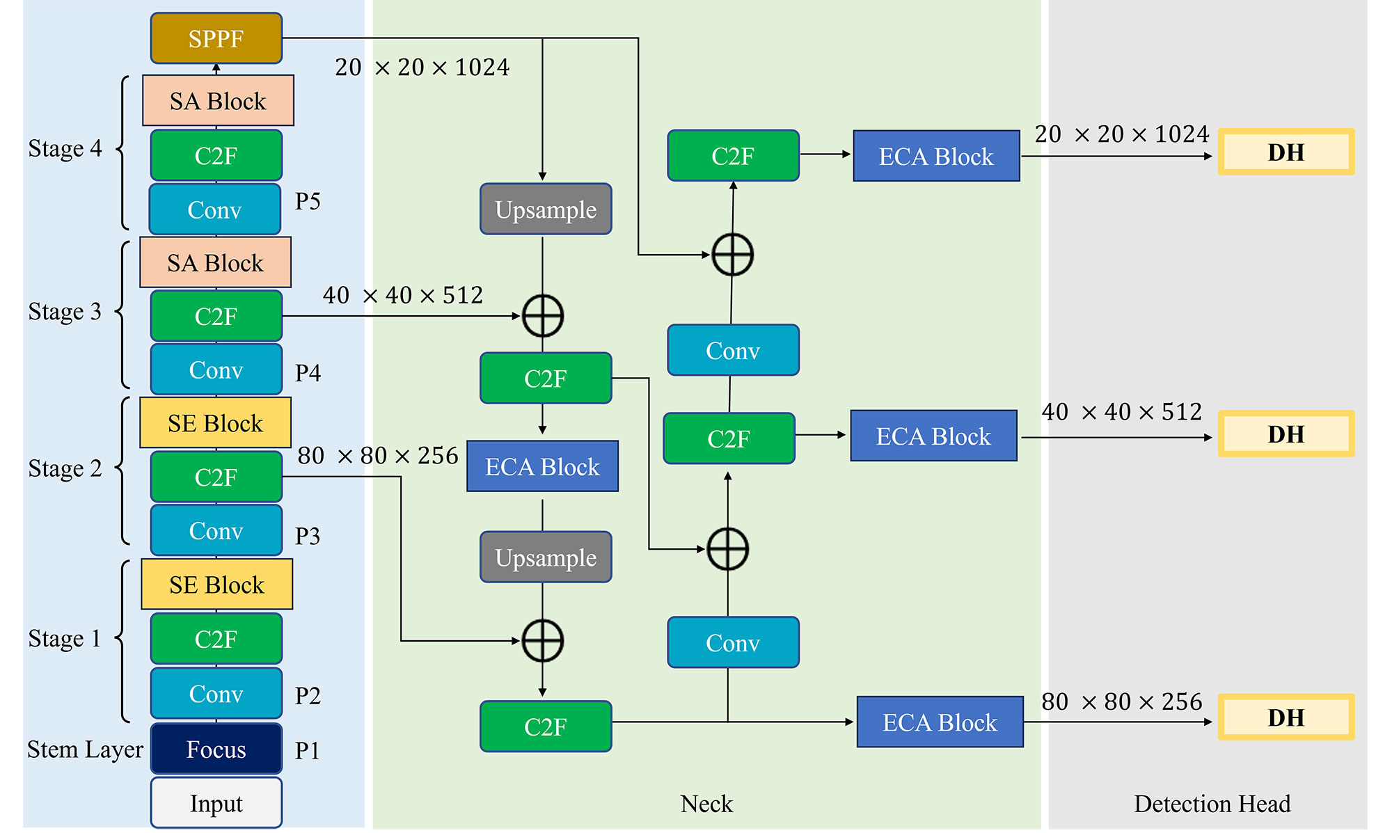 Lightweight Cascaded Feature Reweighting for Fall Detection through Context-Aware YOLOv8 Architecture