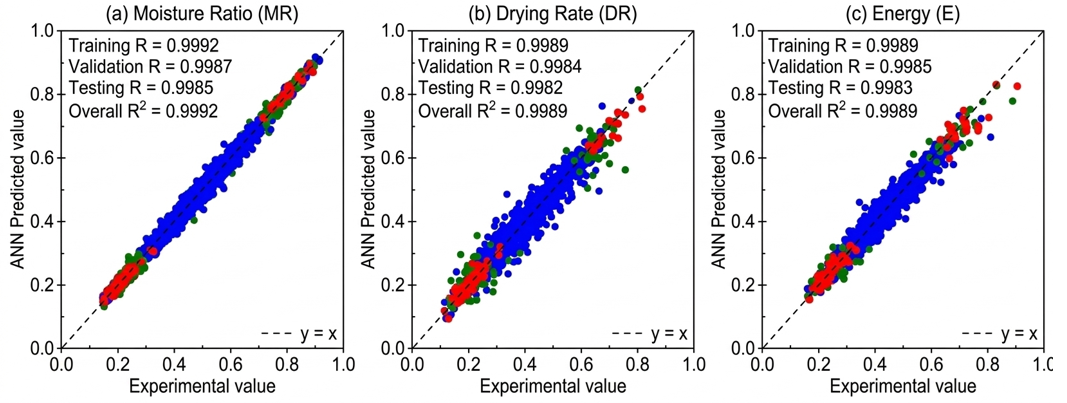 Neuro-Predictive Modelling and Thermo-Energetic Optimization of Convective Drying Kinetics and Mass Transfer Dynamics in Black Bean (Akidi) Seeds