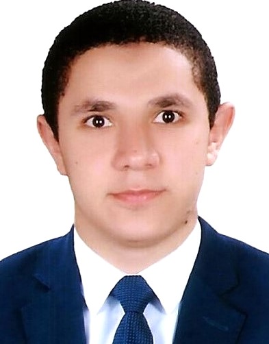 Mohamed M. F. Darwish