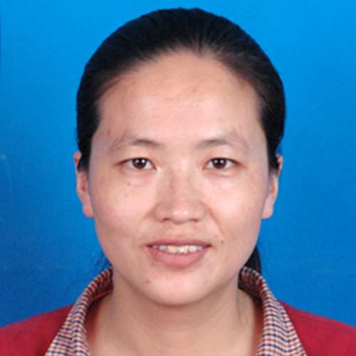 Huiqin Wang