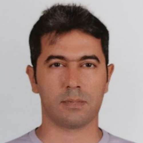 Hossein Moayedi