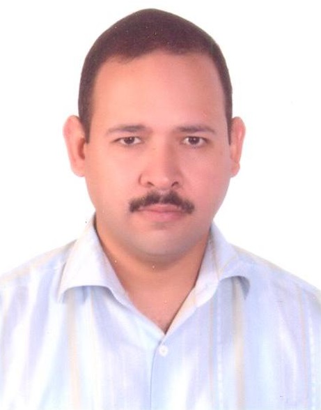 Bassem S Nabawy