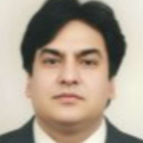 Syed Amer Mahmood